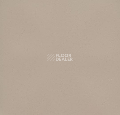Линолеум Forbo Eternal Colour 40392 cement фото 1 | FLOORDEALER